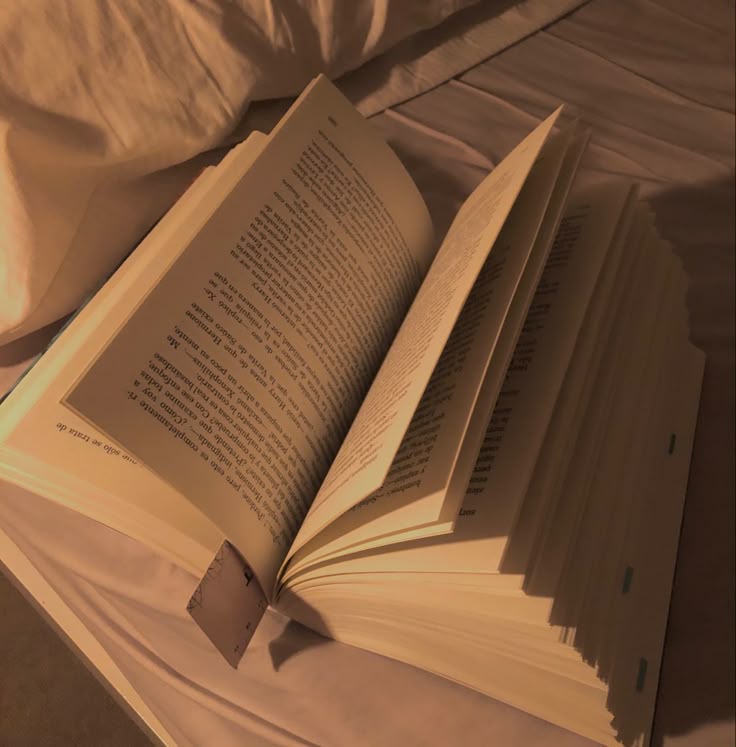 Book Editing Services California | Professional Editors (2026)